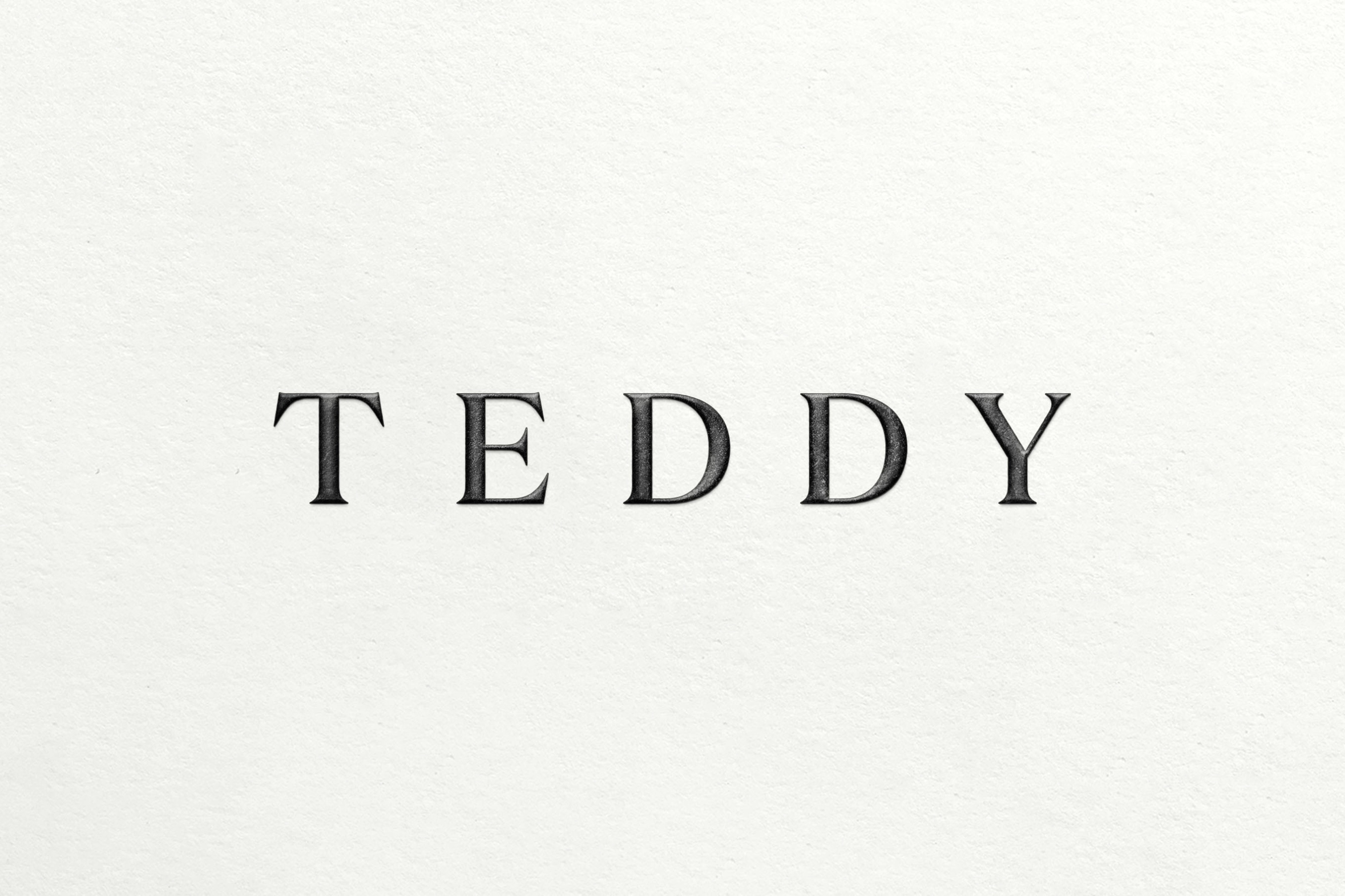 03-teddy-emboss